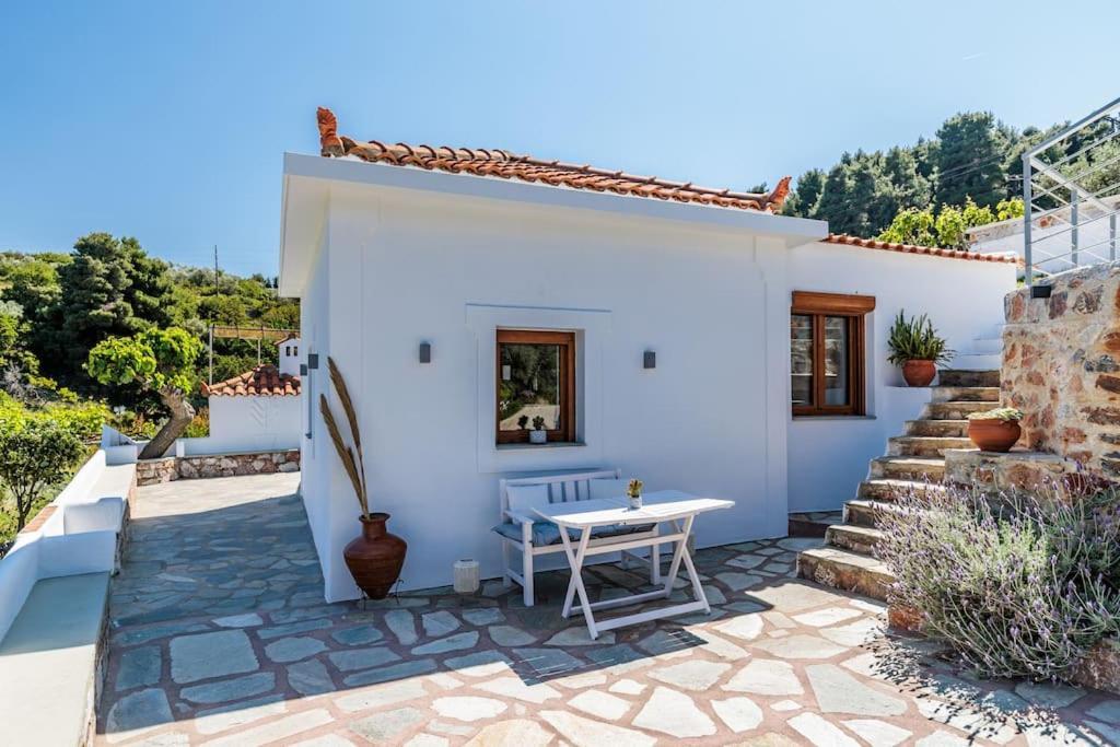 סקופלוס טאון Villa Koukounaria מראה חיצוני תמונה
