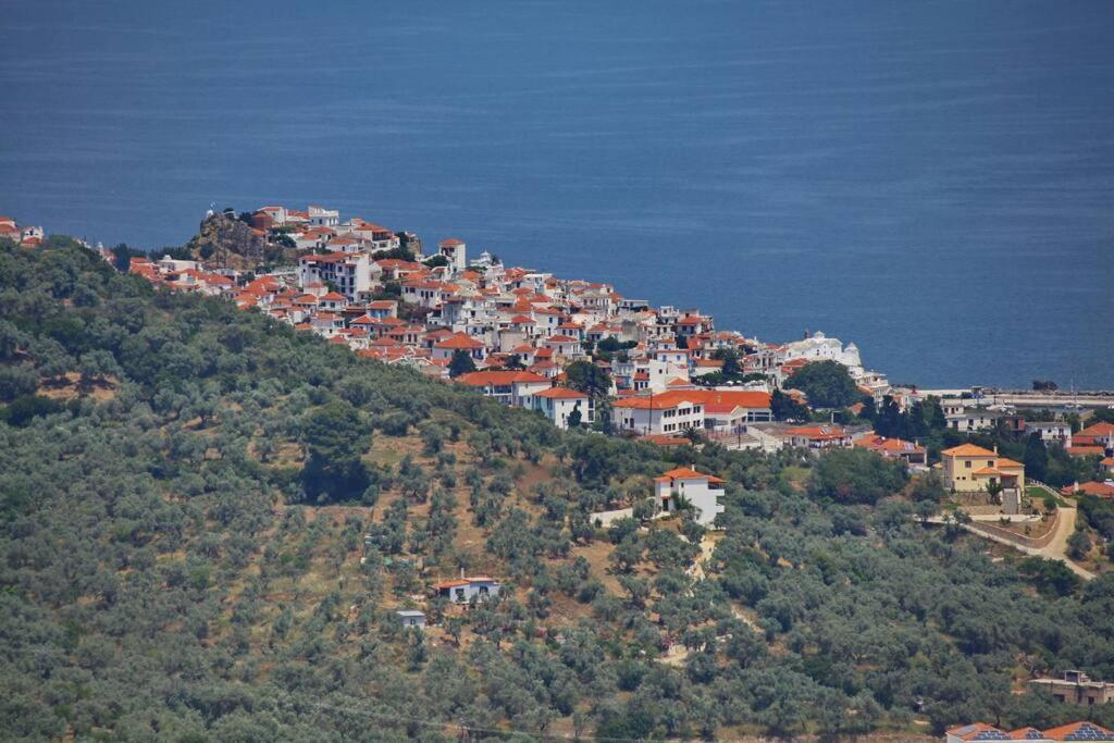 סקופלוס טאון Villa Koukounaria מראה חיצוני תמונה
