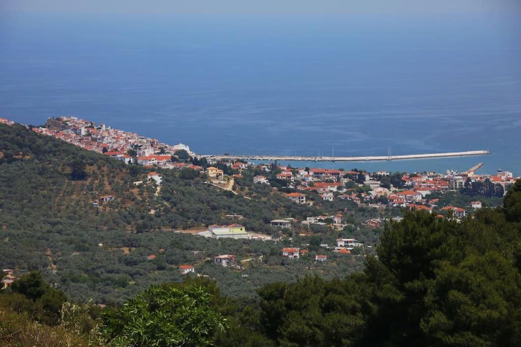 סקופלוס טאון Villa Koukounaria מראה חיצוני תמונה