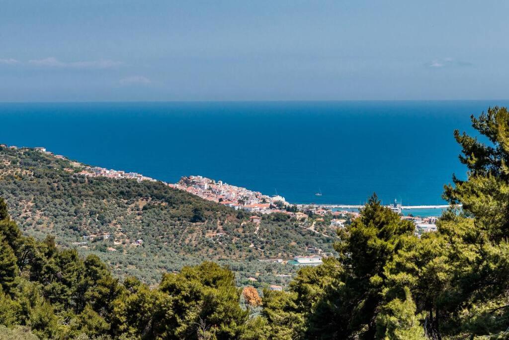 סקופלוס טאון Villa Koukounaria מראה חיצוני תמונה
